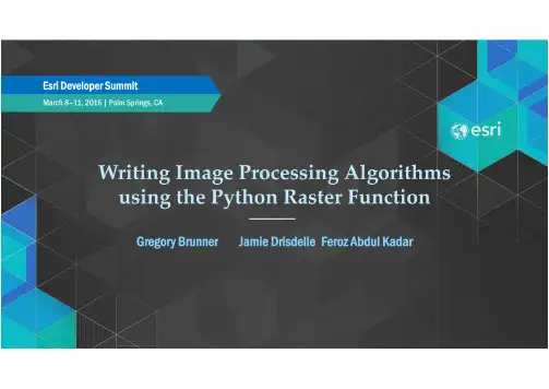 096Writing Image Processing Algorithms using the Python Raster Function