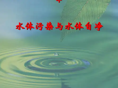 第七讲 水体自净[优质ppt]