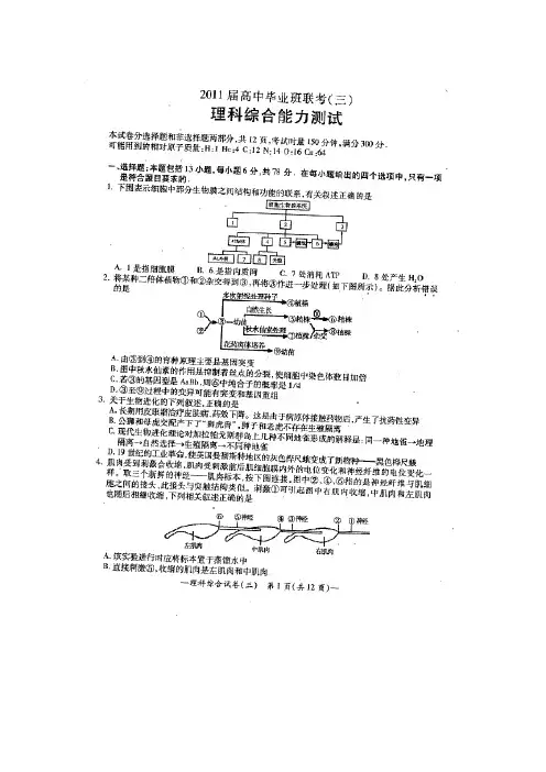 湖南省衡阳市2011届高三第三次联考试题(理综)扫描版