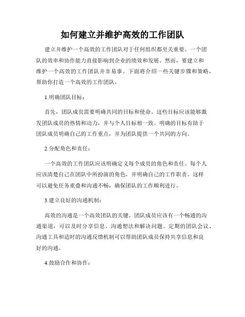 如何建立并维护高效的工作团队