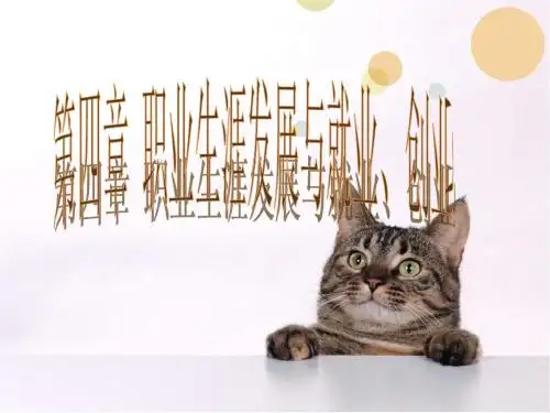 职业生涯规划第四章