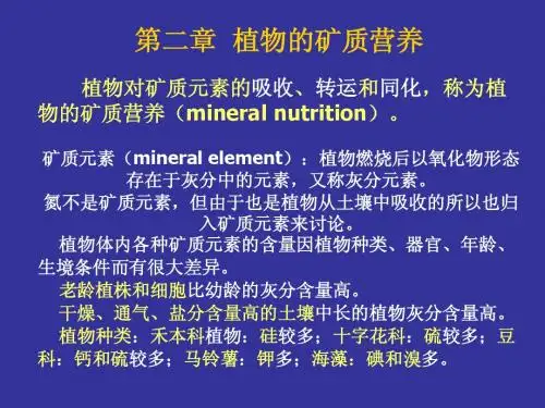 植物生理学2 矿质营养