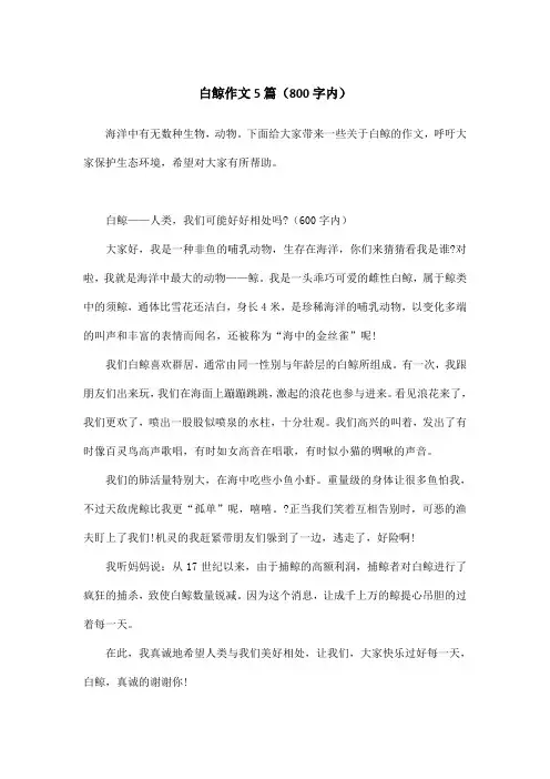 白鲸作文5篇(800字内)