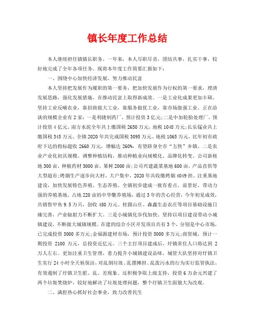 年度工作总结-镇长年度工作总结
