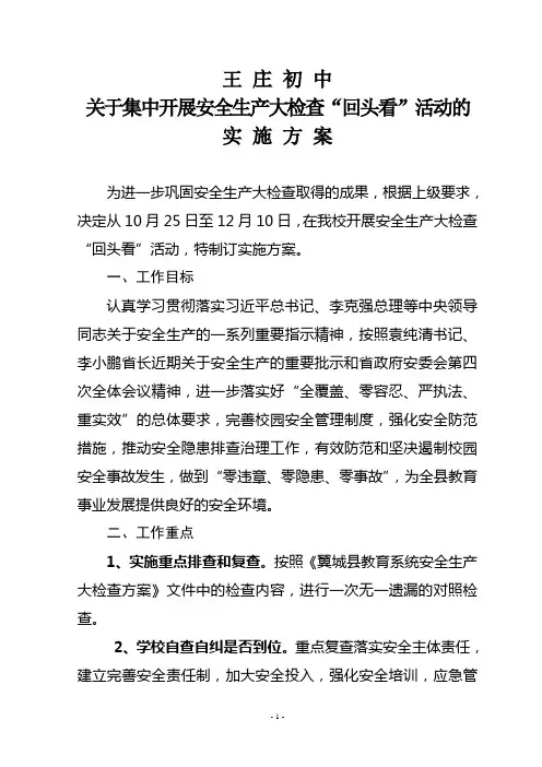关于集中开展安全生产大检查“回头看”活动实施方案
