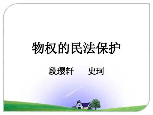物权民法保护