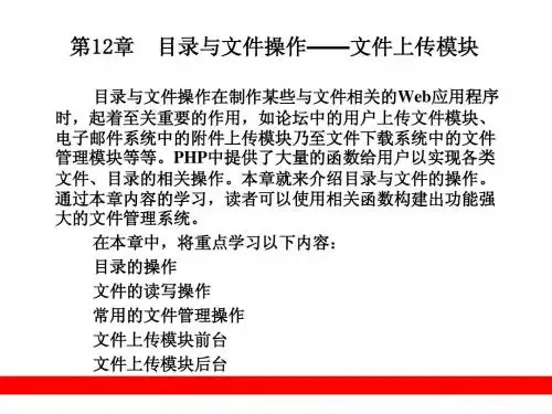 第12章  目录与文件操作——文件