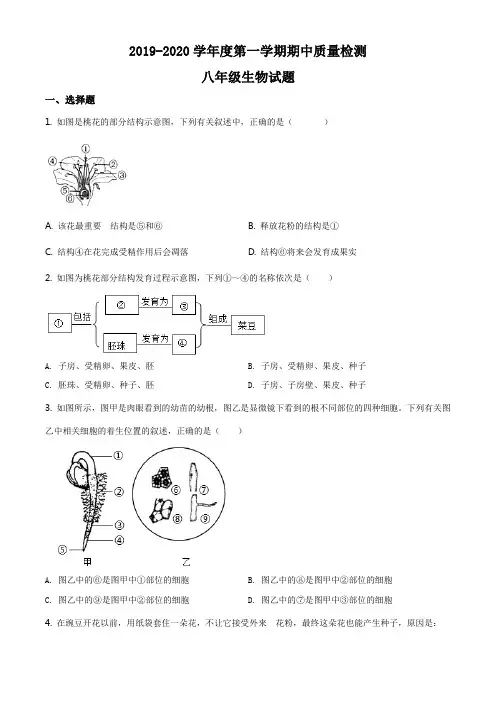 精品解析：山东省济宁市兖州区东方中学2019-2020学年八年级上学期期中生物试题(原卷版)