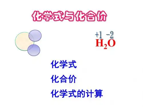 第三节 化学式与化合价