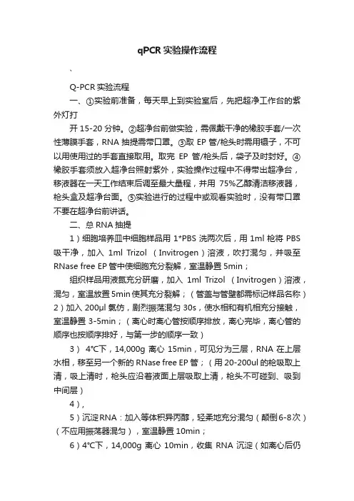 qPCR实验操作流程