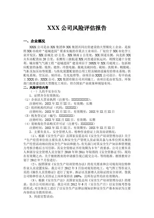 公司风险评估报告