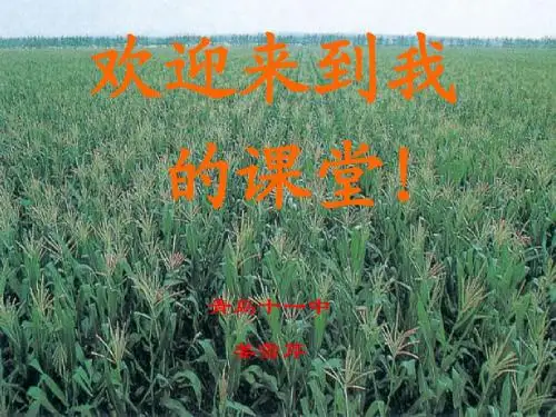杂交育种与诱变育种zuizhong