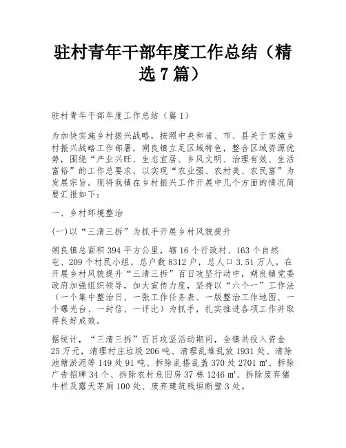 驻村青年干部年度工作总结