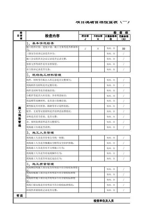项目现场检查点检表(1)