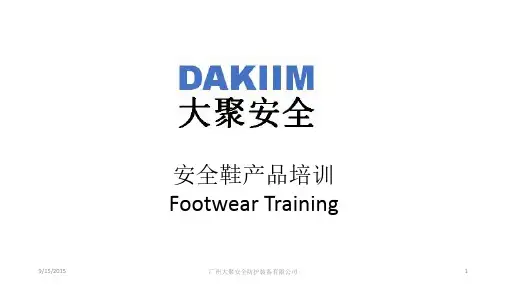 足部防护培训资料20150915