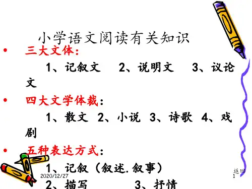 小学语文阅读 ppt课件