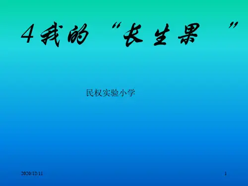 我的长生果PPT教学课件