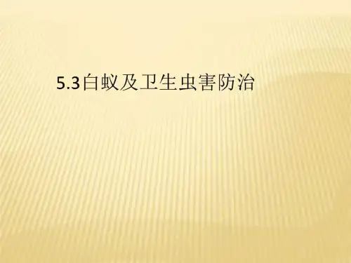 物业管理白蚁防治PPTPPT课件