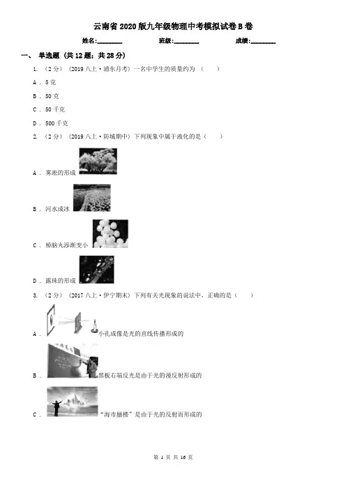 云南省2020版九年级物理中考模拟试卷B卷
