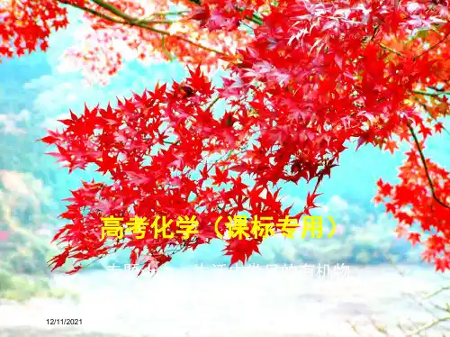 高考化学 专题十九 生活中常见的有机物课件