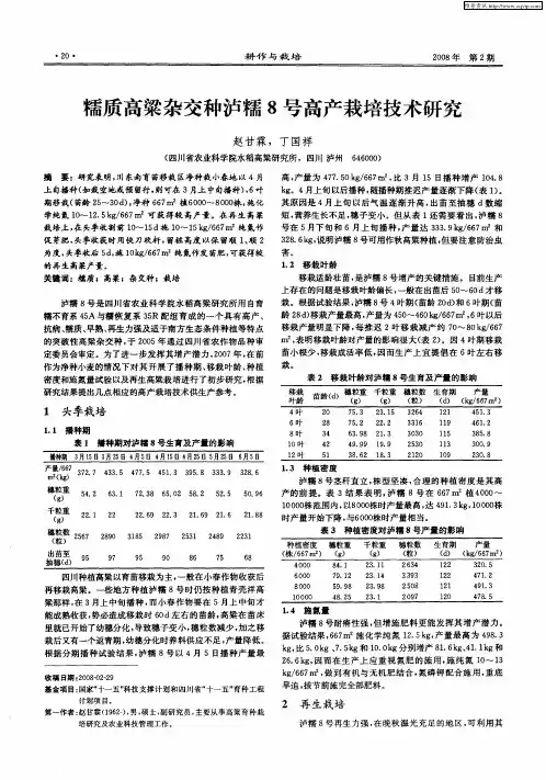 糯质高粱杂交种泸糯8号高产栽培技术研究