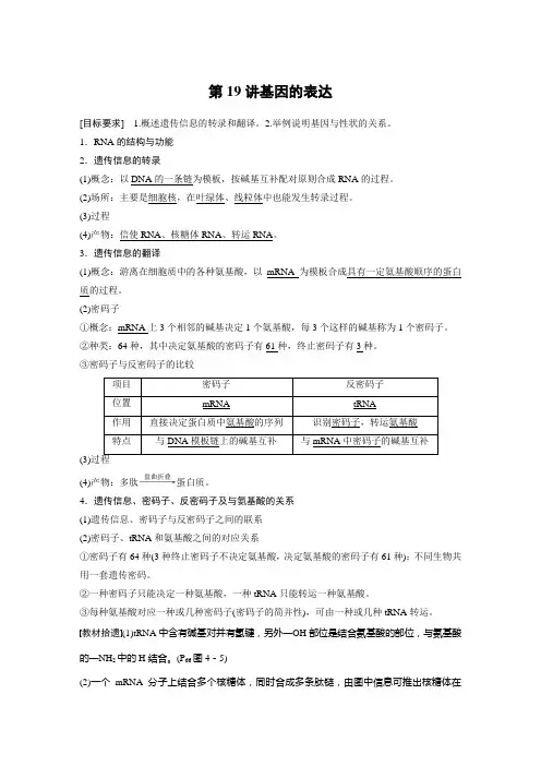 2021届一轮复习人教版基因的表达教案