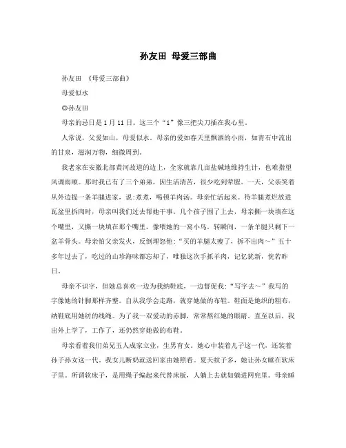 孙友田 母爱三部曲