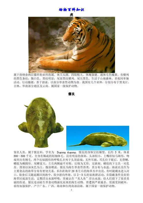 动物百科知识