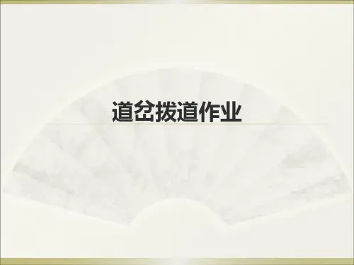 道岔拨道作业