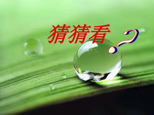 第3章第2节第3课时硫酸