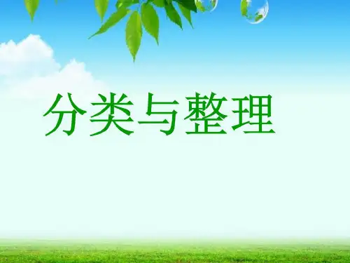 一年级综合实践活动分类与整理32张