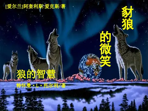 狼的十大处世哲学--管理知识(ppt 23页)
