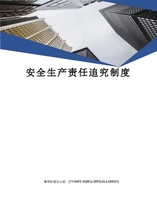 安全生产责任追究制度 2