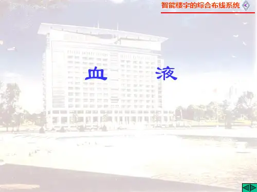 组织学与胚胎学----血液-PPT课件