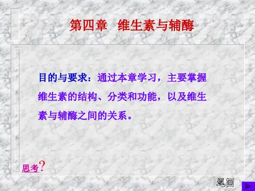 维生素与辅酶