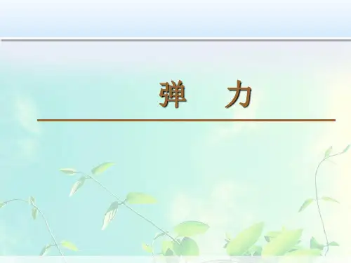 高中物理：《弹力》课件