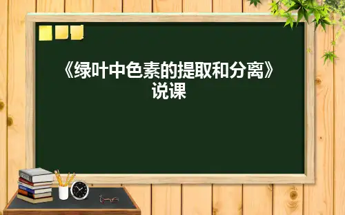 《绿叶中色素的的提取和分离》实验说课课件