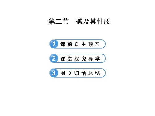鲁教版(五四制)初中化学九年级下册_《碱及其性质》复习课件
