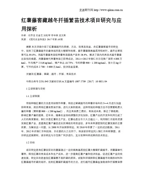 红薯藤窖藏越冬扦插繁苗技术项目研究与应用探析