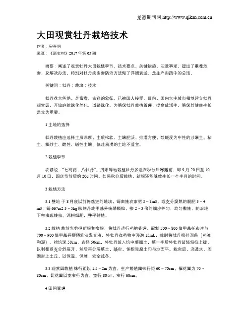 大田观赏牡丹栽培技术