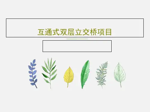 互通式双层立交桥项目共41页文档