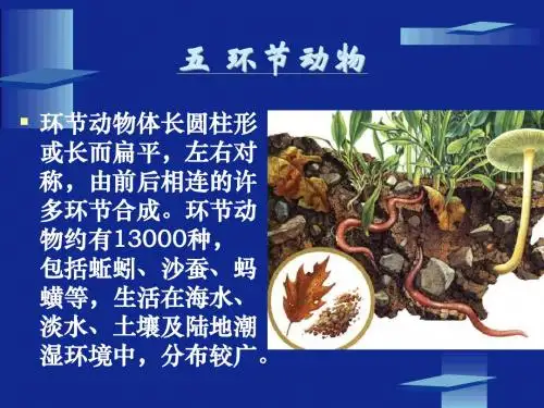 动物的主要类群第二课时