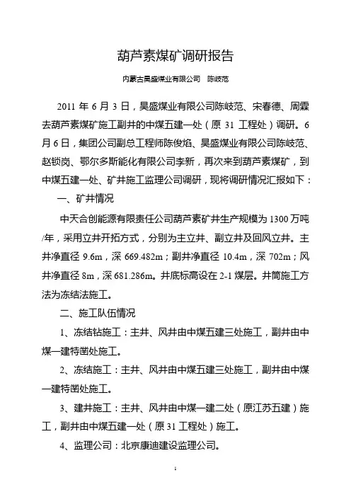 葫芦素煤矿调研报告