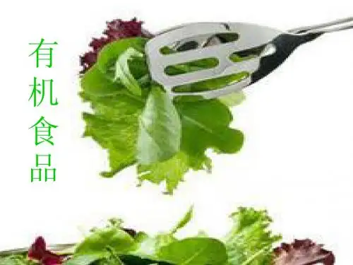 有机食品