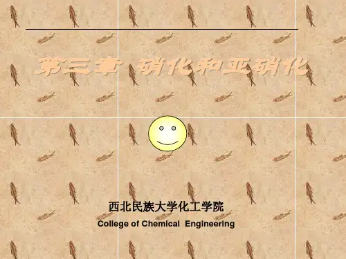 第三章硝化反应