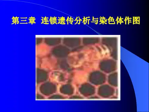 第三章-连锁交换