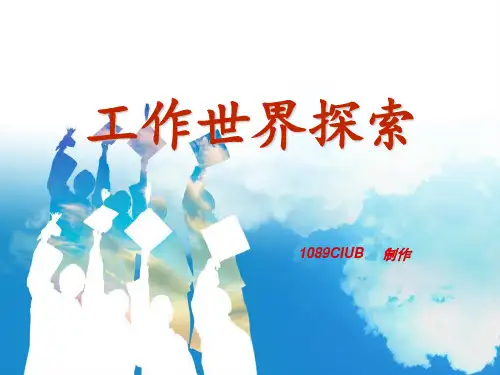 工作世界探索