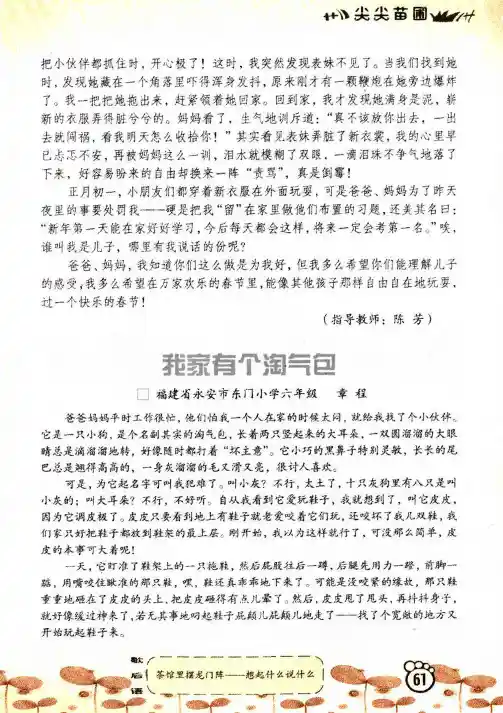 我家有个淘气包