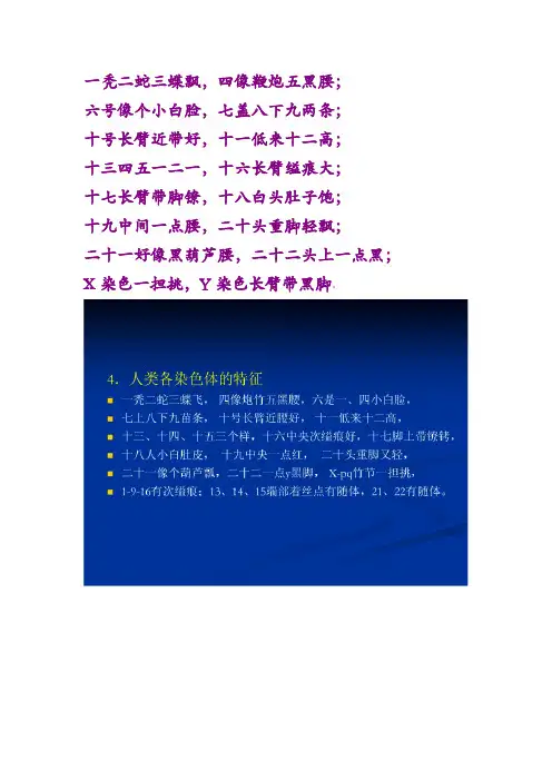 核型分析 口诀