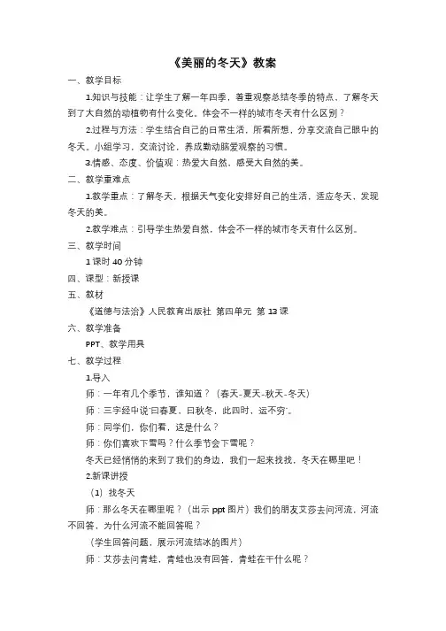 《美丽的冬天》教案